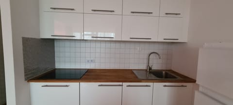 House, 1 Bedroom, Accessible, Smoking | Private kitchen