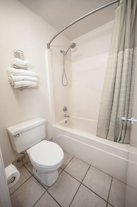 Combined shower/tub, free toiletries, hair dryer, towels