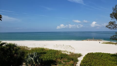 1 Bedroom Condo, Gulf Front | Beach/ocean view