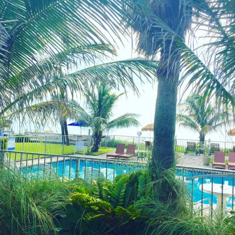 Outdoor pool, sun loungers