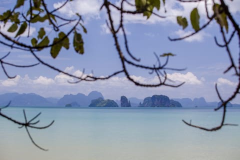 Land view from property