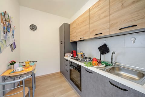 Family Apartment, 1 Bedroom, Lakeside (Red House Terrace Private Beach) | Private kitchen | Fridge, microwave, oven, stovetop