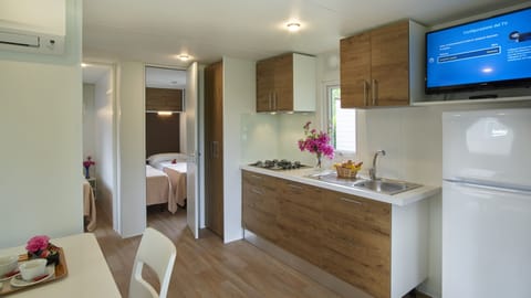 Fridge, stovetop, cookware/dishes/utensils