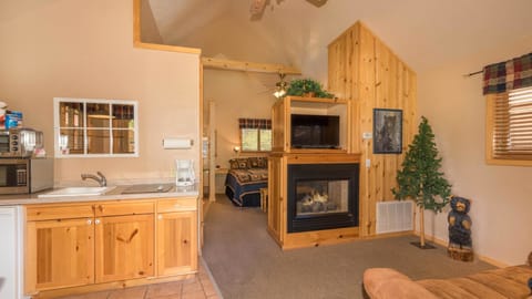 Cabin with Gas Fireplace - Cabin 304 | Living room | Flat-screen TV, DVD player