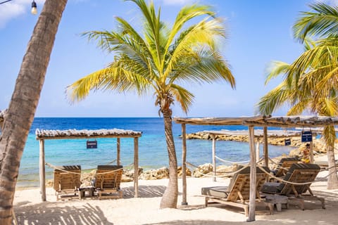 On the beach, white sand, sun loungers, beach umbrellas