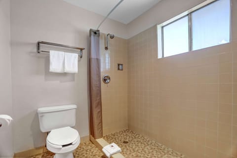 Combined shower/tub, hair dryer, towels