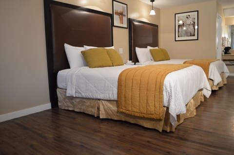 Superior Double Room, 2 Queen Beds, Refrigerator & Microwave | Premium bedding, pillowtop beds, desk, blackout drapes