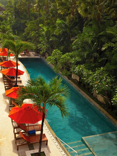 Outdoor pool, pool umbrellas, sun loungers