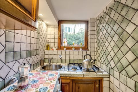 Apartment, 1 Bedroom, Terrace | Private kitchen