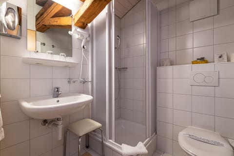 Economy Single Room | Bathroom | Shower, free toiletries, hair dryer, bathrobes