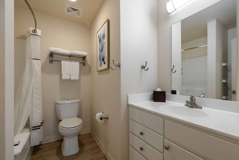 Suite, 1 Bedroom | Bathroom | Combined shower/tub, free toiletries, hair dryer, towels