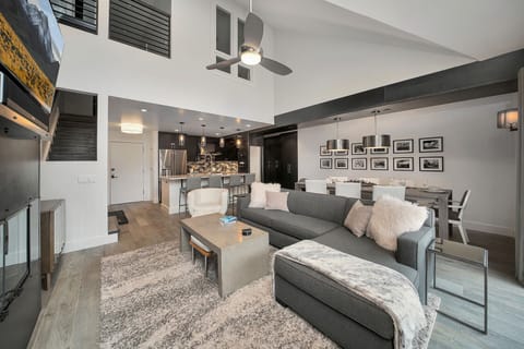 Living Area - Blue Mesa 2 - Vivid Vacation Rentals Telluride - Living Area - Blue Mesa 2 - Vivid Vacation Rentals Telluride