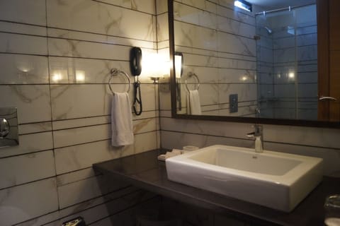 Deluxe Suite | Bathroom | Shower, free toiletries, hair dryer, slippers