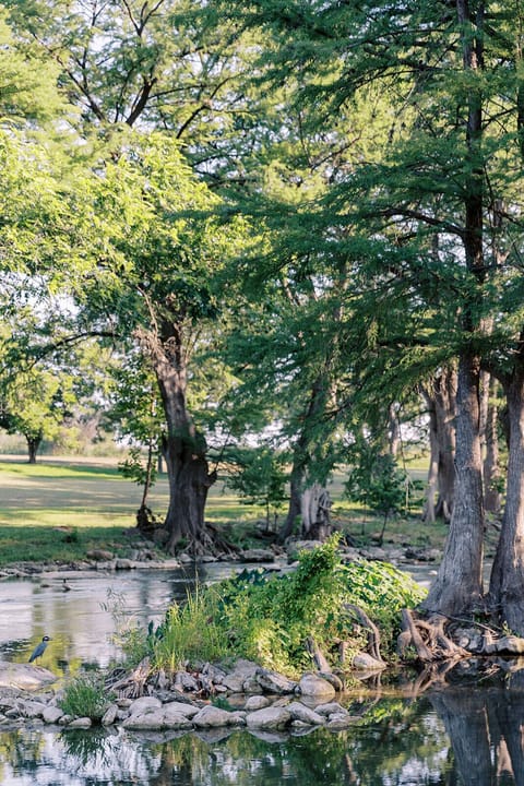 Land view from property