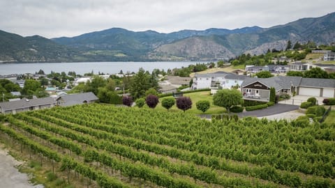 Living room views of the lake and neighboring vineyard