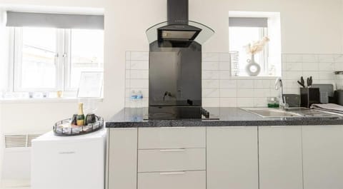 Studio | Private kitchen | Fridge, microwave, oven, stovetop