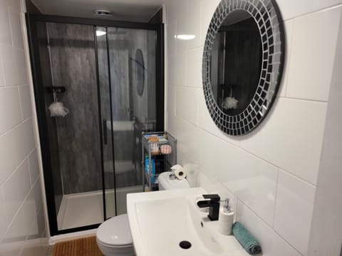 Apartment | Bathroom | Shower, hair dryer, towels