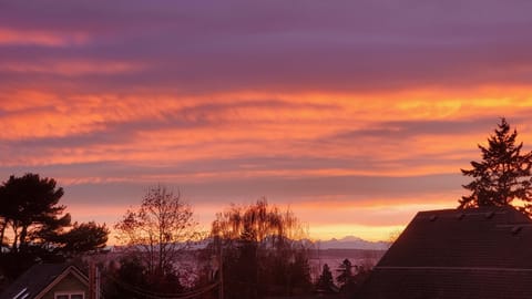 Premium Suite, 1 Queen Bed, Non Smoking, Partial Sea View | Water view