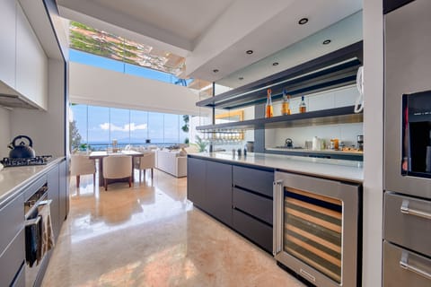 Penthouse | Private kitchen | Fridge, microwave, oven, dishwasher