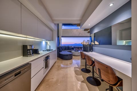 Penthouse | Private kitchen | Fridge, microwave, oven, dishwasher