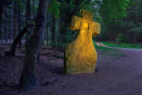 Region [summer] (&gt;5 km)