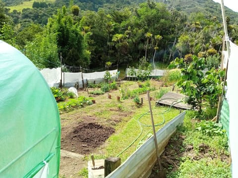 Visit our year-round vegetable garden.
