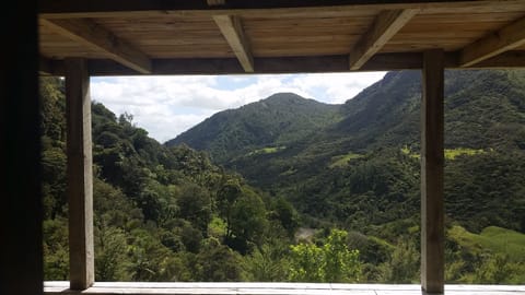 View from the verandah, looking north.
