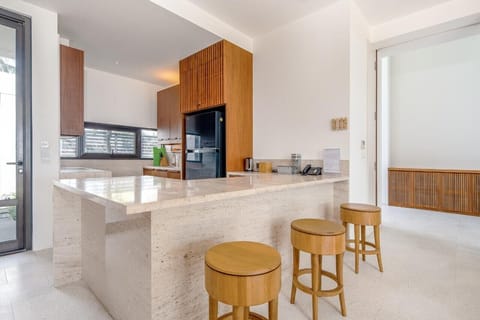 Luxury Villa | Private kitchen | Full-size fridge, eco-friendly cleaning products