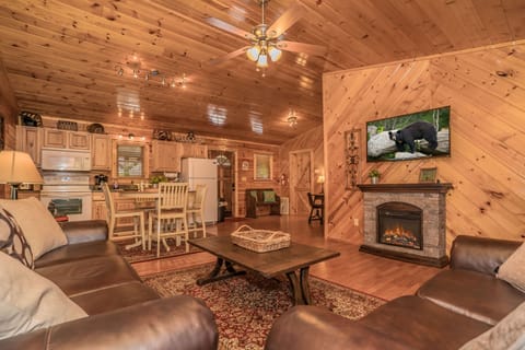 Living Room: electric fireplace, ceiling fan, queen sofa & Roku TV. 

