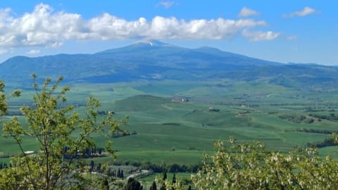 Cloud, Sky, Plant, Plant Community, Mountain, Natural Landscape, Natural Environment, Vegetation, Land Lot, Highland