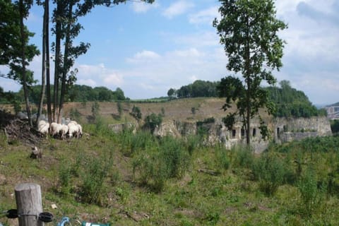 Region [summer] (&gt;5 km)