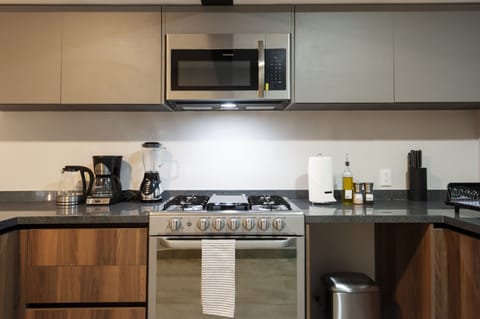 Apartment, 3 Bedrooms, Balcony (103) | Private kitchen | Full-size fridge, microwave, oven, stovetop