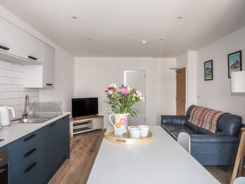 Fridge, dishwasher, cookware/dishes/utensils