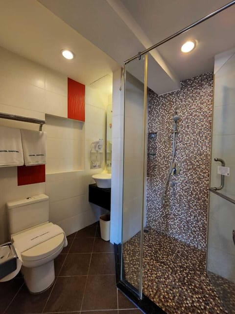 VIP Suite | Bathroom | Shower, hair dryer, slippers, towels