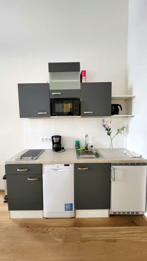 City Apartment | Private kitchenette | Fridge, microwave, stovetop, dishwasher