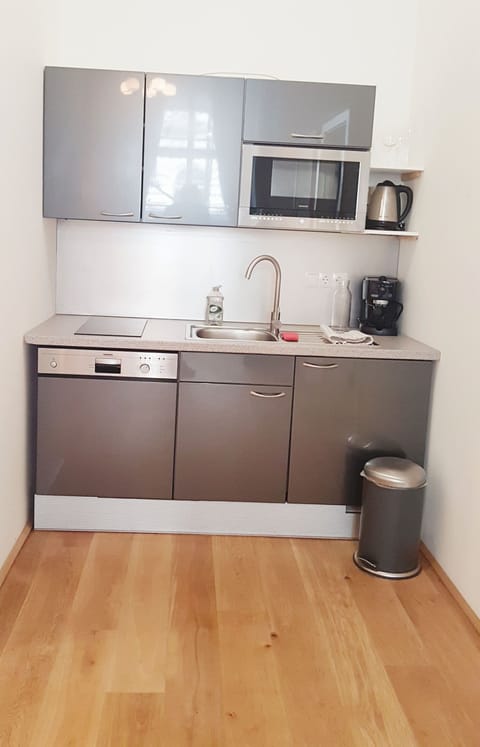 Deluxe Apartment | Private kitchen | Fridge, microwave, stovetop, dishwasher