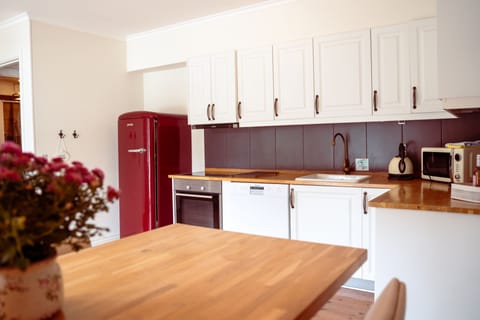 Family Apartment, 2 Bedrooms, Kitchen | Private kitchen | Fridge, coffee/tea maker, electric kettle