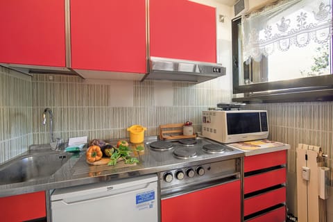 Family Apartment, 1 Bedroom (Appartamento Pian dei Larici) | Private kitchen | Fridge, microwave, stovetop, cookware/dishes/utensils