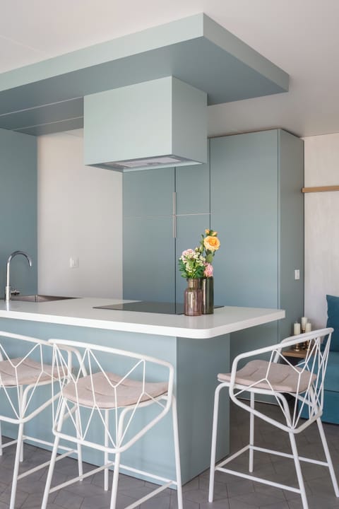 Luxury Holiday Home with pool | Private kitchen | Fridge, stovetop, dishwasher, coffee/tea maker