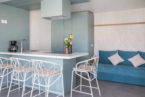 Luxury Holiday Home with pool | Private kitchen | Fridge, stovetop, dishwasher, coffee/tea maker