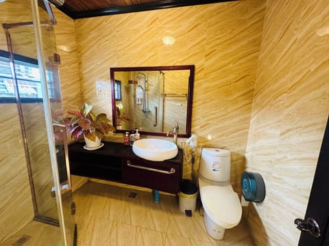 Deluxe Double Room | Bathroom | Shower, hydromassage showerhead, free toiletries, hair dryer