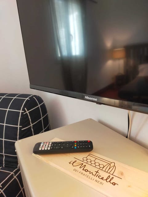 Television