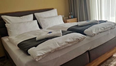 Double Room | Premium bedding, down comforters, minibar, blackout drapes