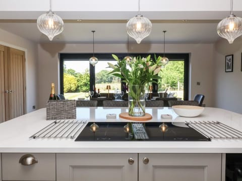 Cottage | Private kitchen | Fridge, dishwasher, electric kettle, toaster