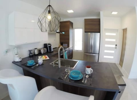 Basic Villa | Private kitchen | Full-size fridge