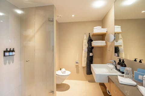 Free toiletries, hair dryer, bathrobes, slippers