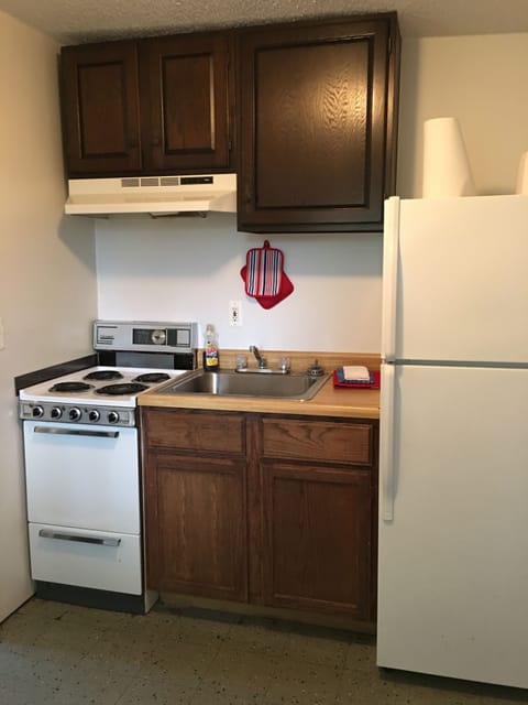 Family Apartment, Kitchenette, Lake View | Private kitchen | Fridge, coffee/tea maker, freezer