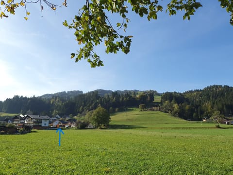 De piste met links Alpensuss 