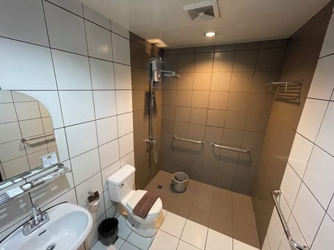 Triple Room | Bathroom | Shower, free toiletries, towels, soap