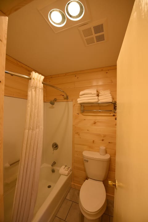 Combined shower/tub, free toiletries, hair dryer, towels